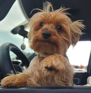 Meet your Posher, Maria